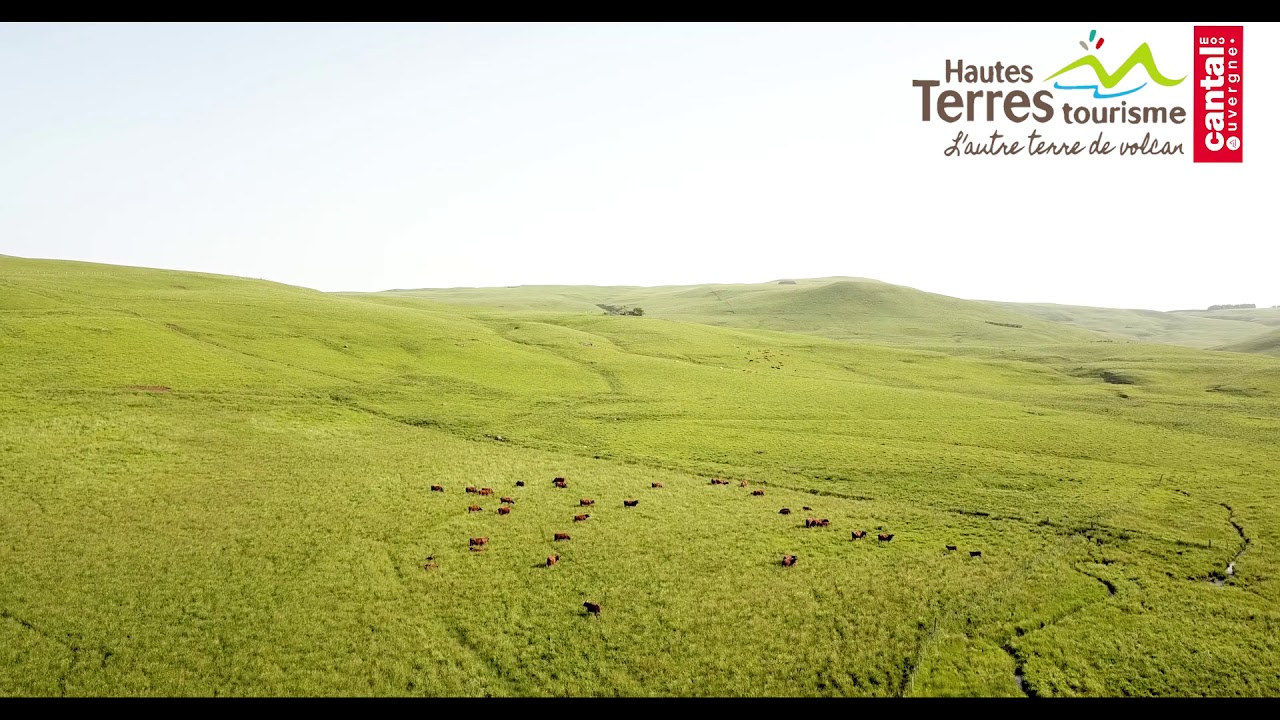 plateau du cézallier