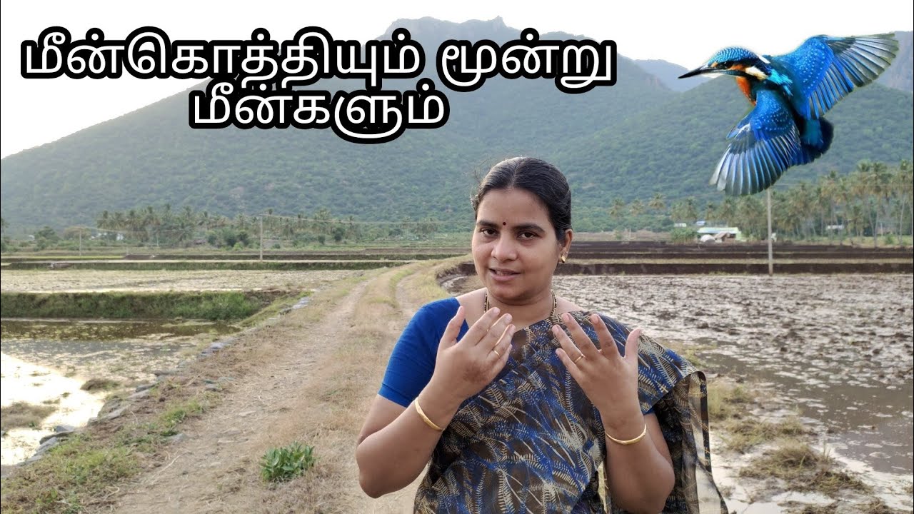 மீன்கொத்தியும் மூன்று மீன்களும் | எழுத்தாளர் S. Ramakrishnan | Tamil | Ramya Kathaisolli