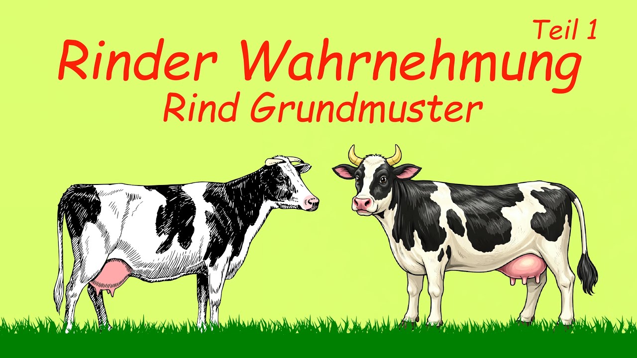 Rind Grundmuster | Rinder Wahrnehmung | Teil 1 | Audio | Kuhles zum Kauen