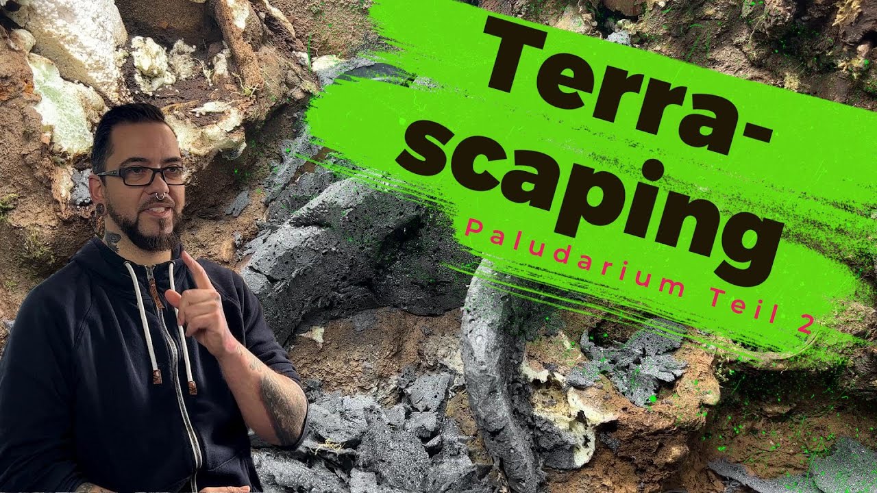 Terra-Scaping! - Makeover Paludarium / Teil 2