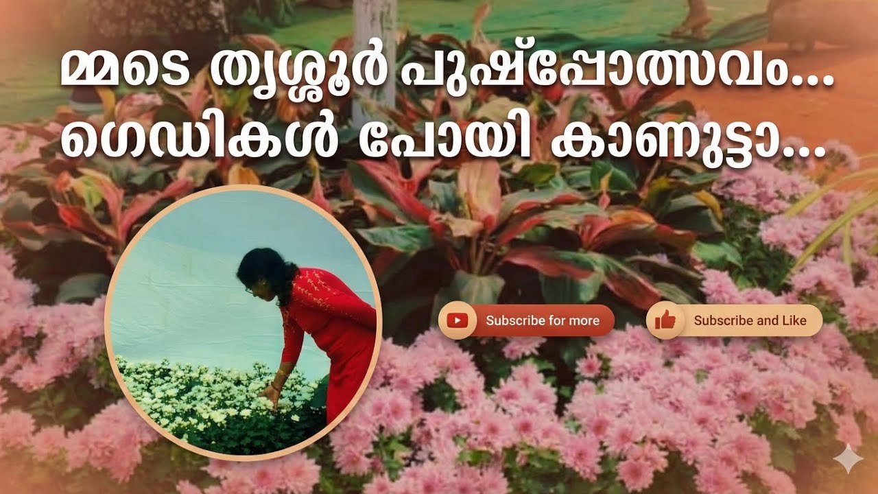 ശക്തൻ ബസ് സ്റ്റാൻഡിനു സമീപം... ടിക്കറ്റ് റേറ്റ് 100 രൂപ ഒരാൾക്ക്....വില്പനയും ഉണ്ട്...