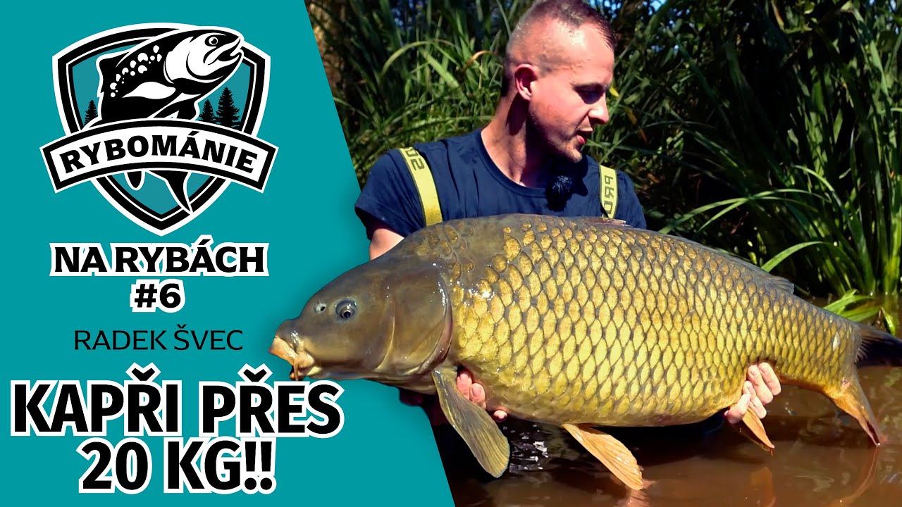 KAPŘI přes 20Kg v jeden den! Lov velkých kaprů s Radkem Švecem. Rybománie na rybách #6