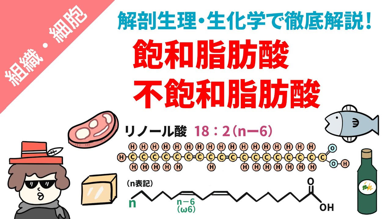 【PDF付】飽和脂肪酸と不飽和脂肪酸