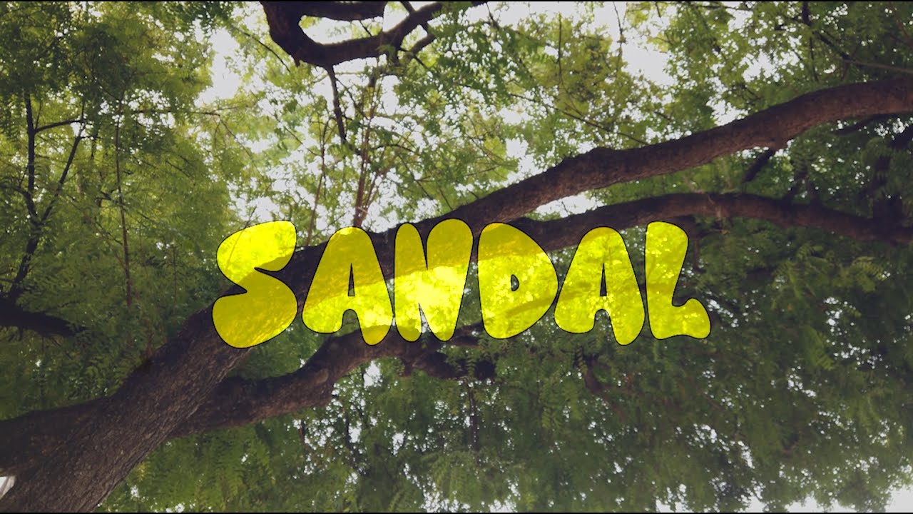 PLASID | SANDAL (OFFICIAL MUSIC VIDEO)