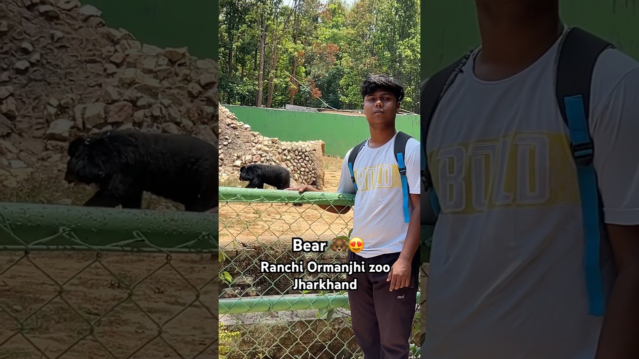 Ranchi Ormanjhi zoo ||🐻is the best zoo Jharkhand ||❤️I saw the first time bear || #trending #viral