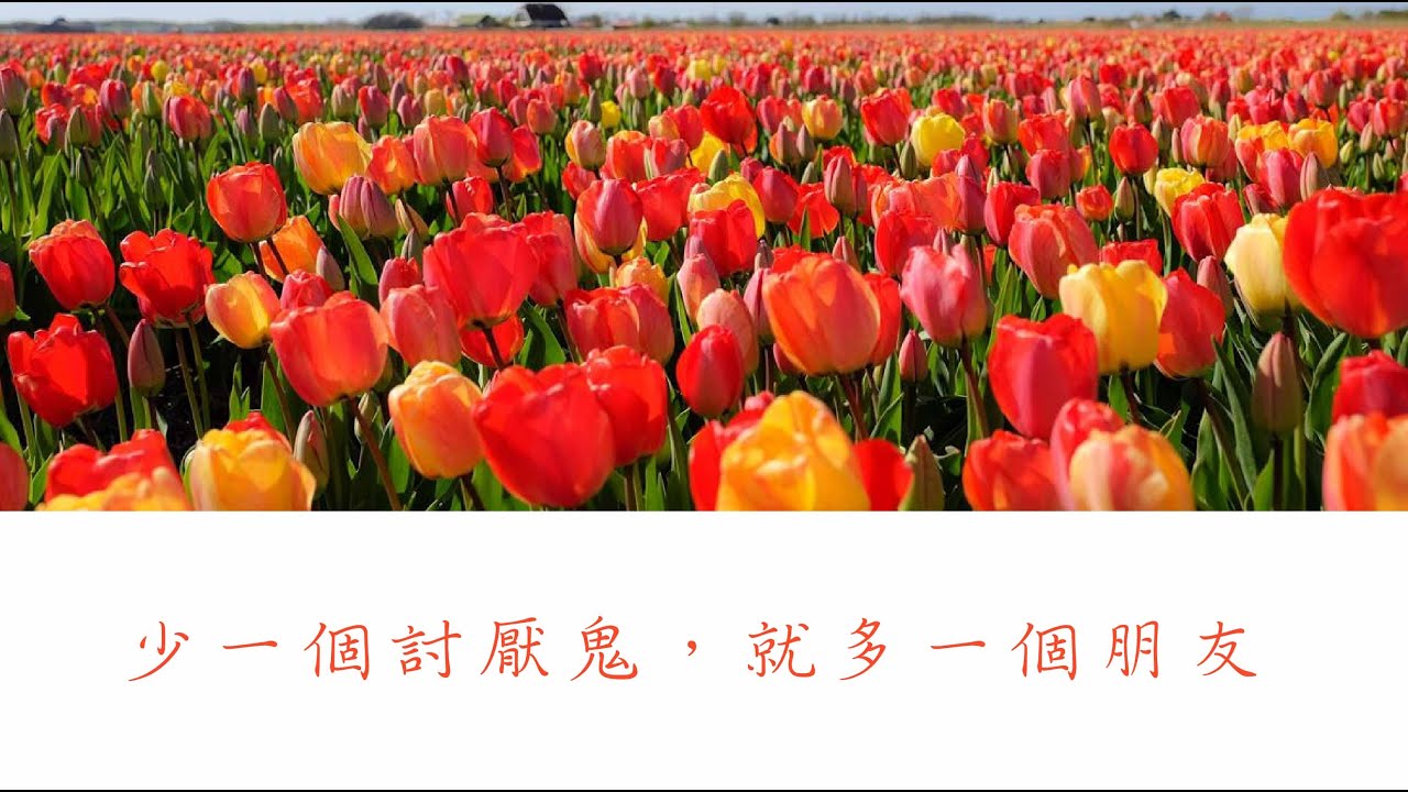 白陽電視台  少一個討厭鬼，就多一個朋友  他是最不值得我們浪費時間和精力對付的人 人際關係EQ滿分話修行 傳統文化 國學