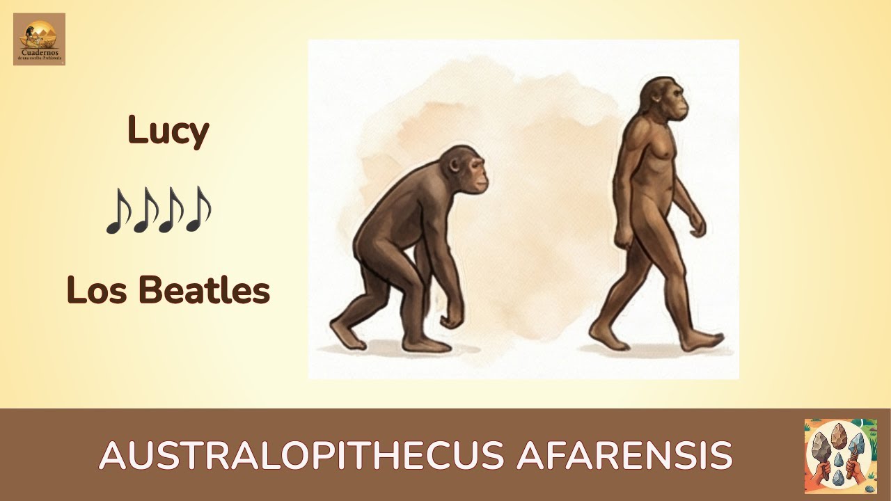 AUSTRALOPITECUS AFARENSIS: LUCY, LA ABUELA DE LA HUMANIDAD