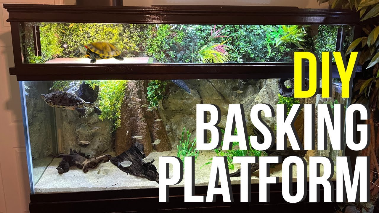 Start to Finish - DIY Above Tank Basking Platform for Pet Turtles - Canopy Style