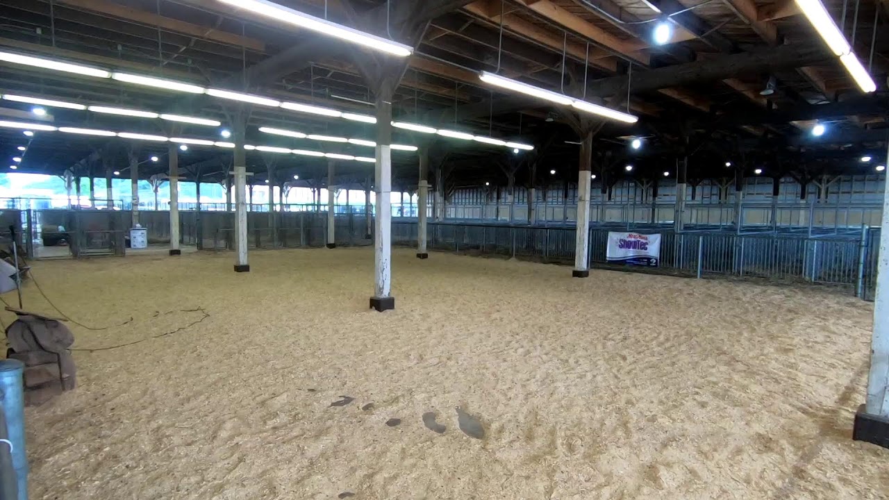 4-H/FFA Dairy Goat Breeding Show (Part 2)