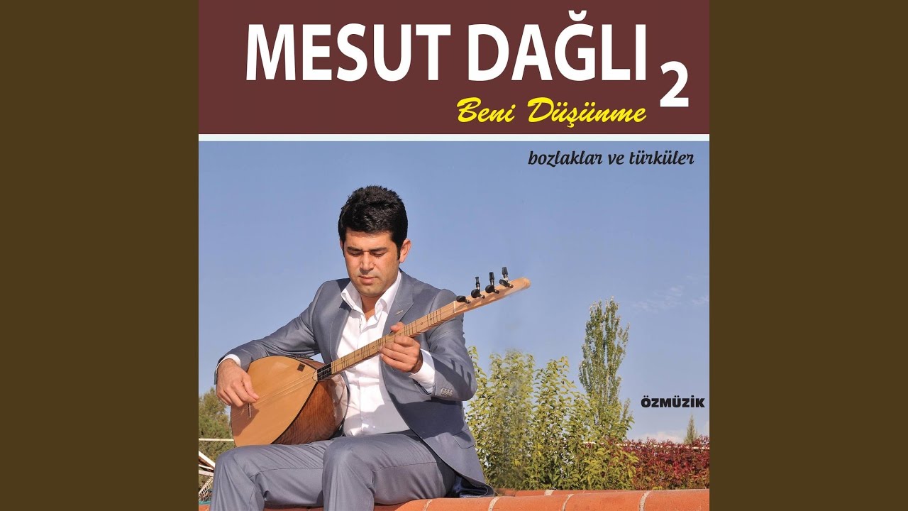 Alıngan Yıllar