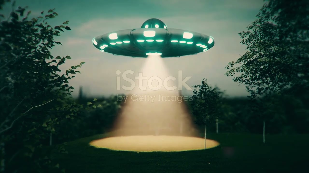 Top 5 Bizarre Stories from Around the World
