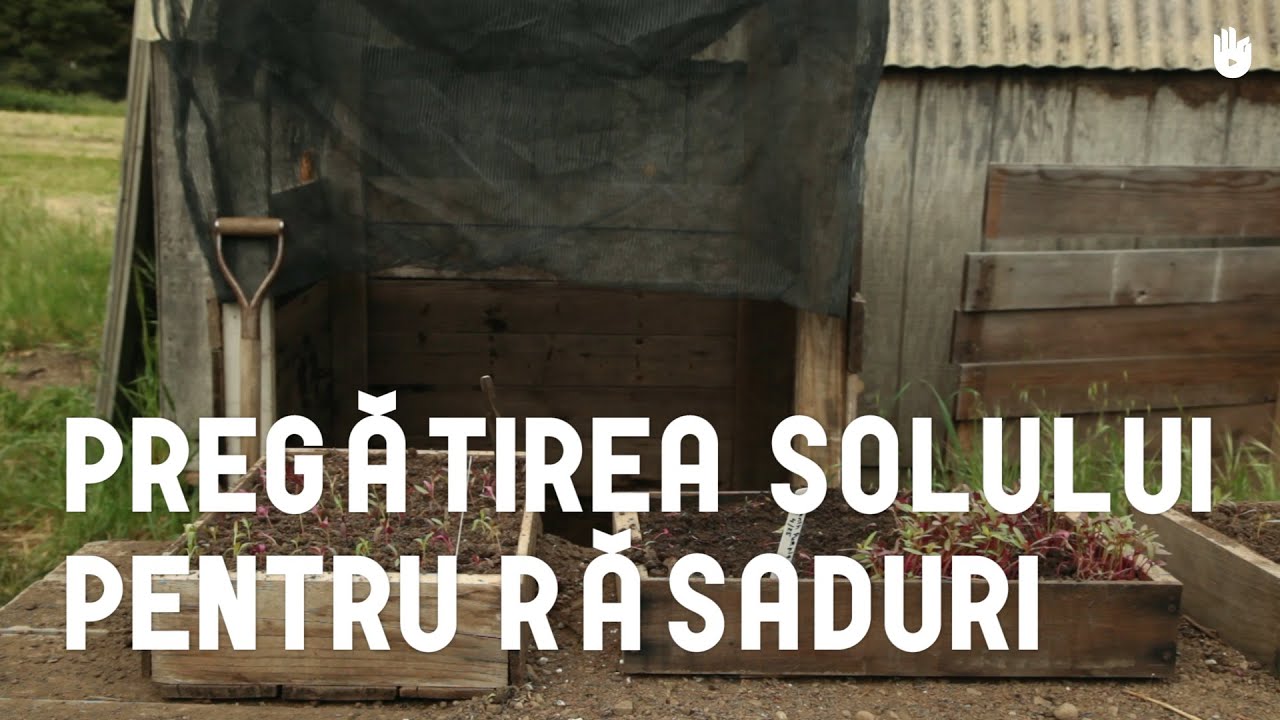 Pregătirea solului pentru răsaduri