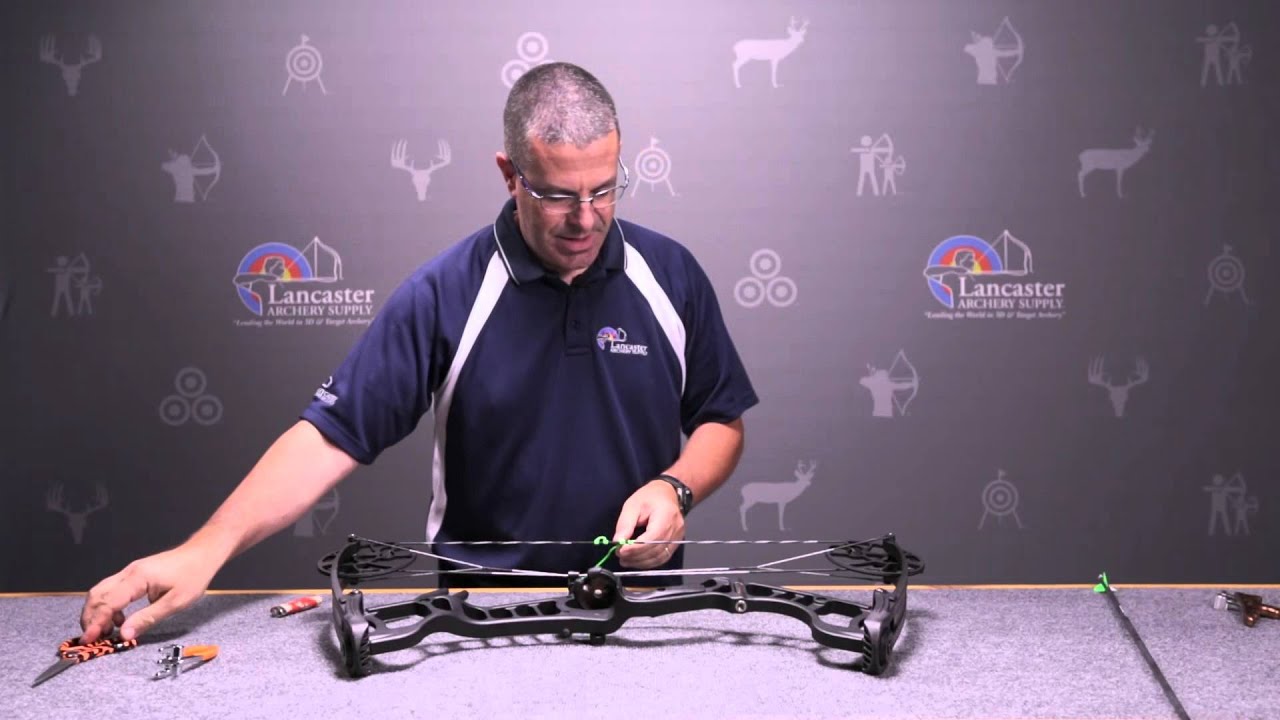 How To Tie a D-loop