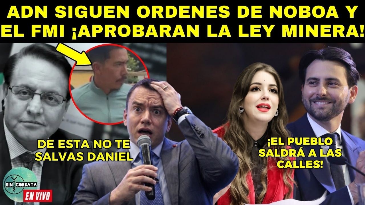 PIPO SOLTÓ LA SOPA ¡NOBOA MANDÓ A DESVIVIR A DON VILLA! / ENTREVISTA CON MONICA PALACIOS LEY MINERA