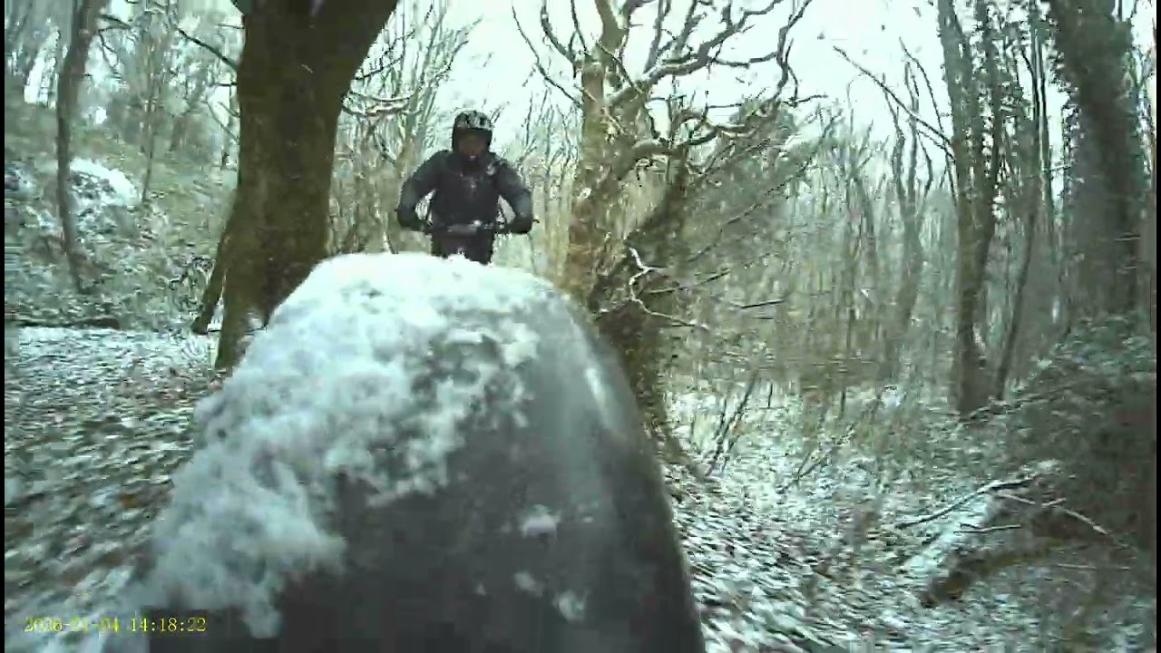 Let it snow - Rear view (3)