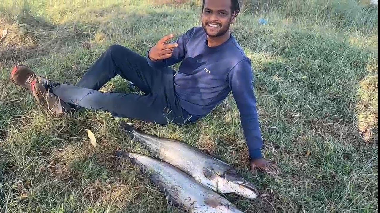 विषय संपला🤫 मासा लागला भावान पकडला मोठ्या size चा शिवडा मासा🎣 Kolhapur Fishing Pathan Wallago attu 