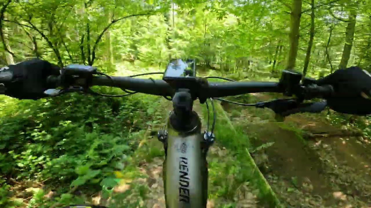 Weißhauswald | Anna - Gärtchen - Heidi | Brustcam