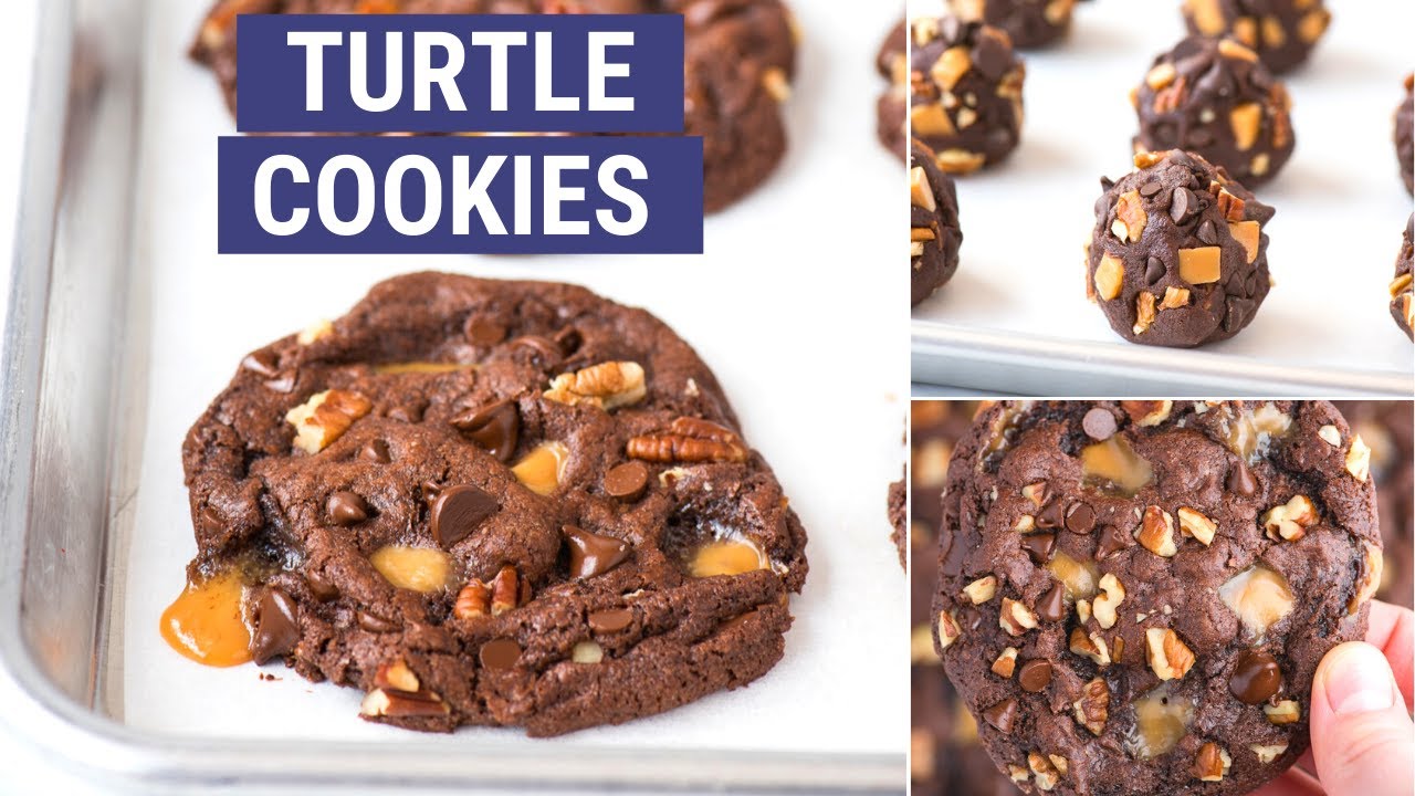 Turtle Cookies