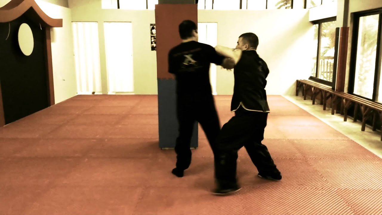 Wing chun kung fu George Anagnostakos promo video