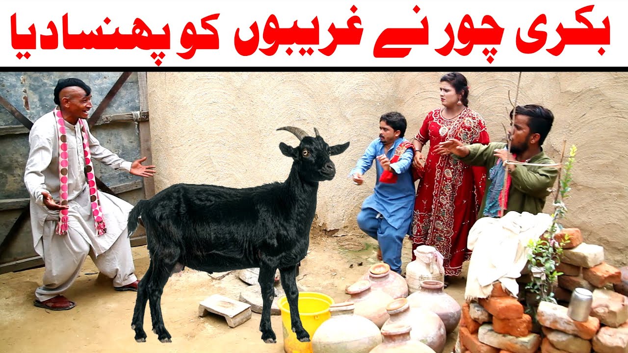 Noor Nazeer Bakri Chore Ko Urat Bana Dia Ashiq Funny Video | Most Comedy Funny Video| You Tv Hd 2025