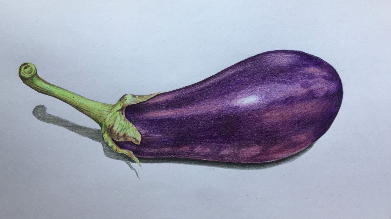 How to Draw an Eggplant in Color Pencils | Draw and Color a Brinjal | Vegetable Drawing
