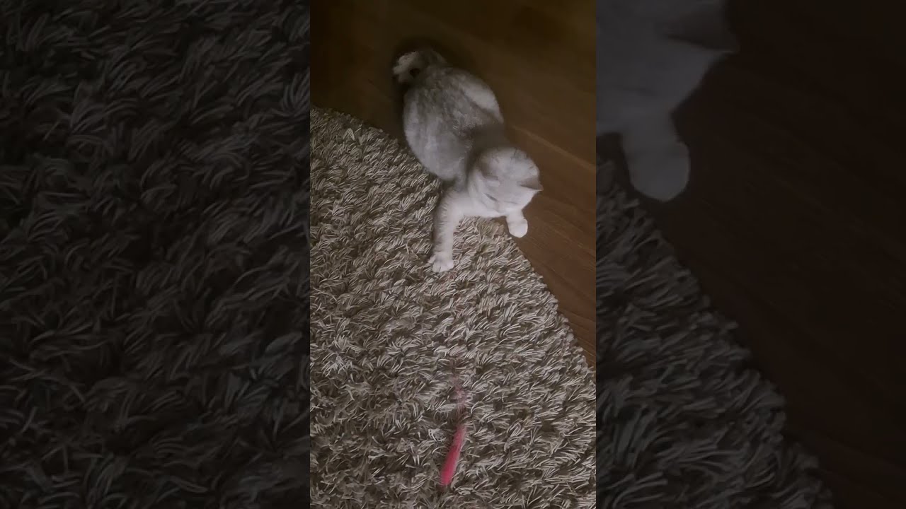 👌🤣🎯А ВОТ ЭТО УЖЕ ИНТЕРЕСНО ☄️‼️