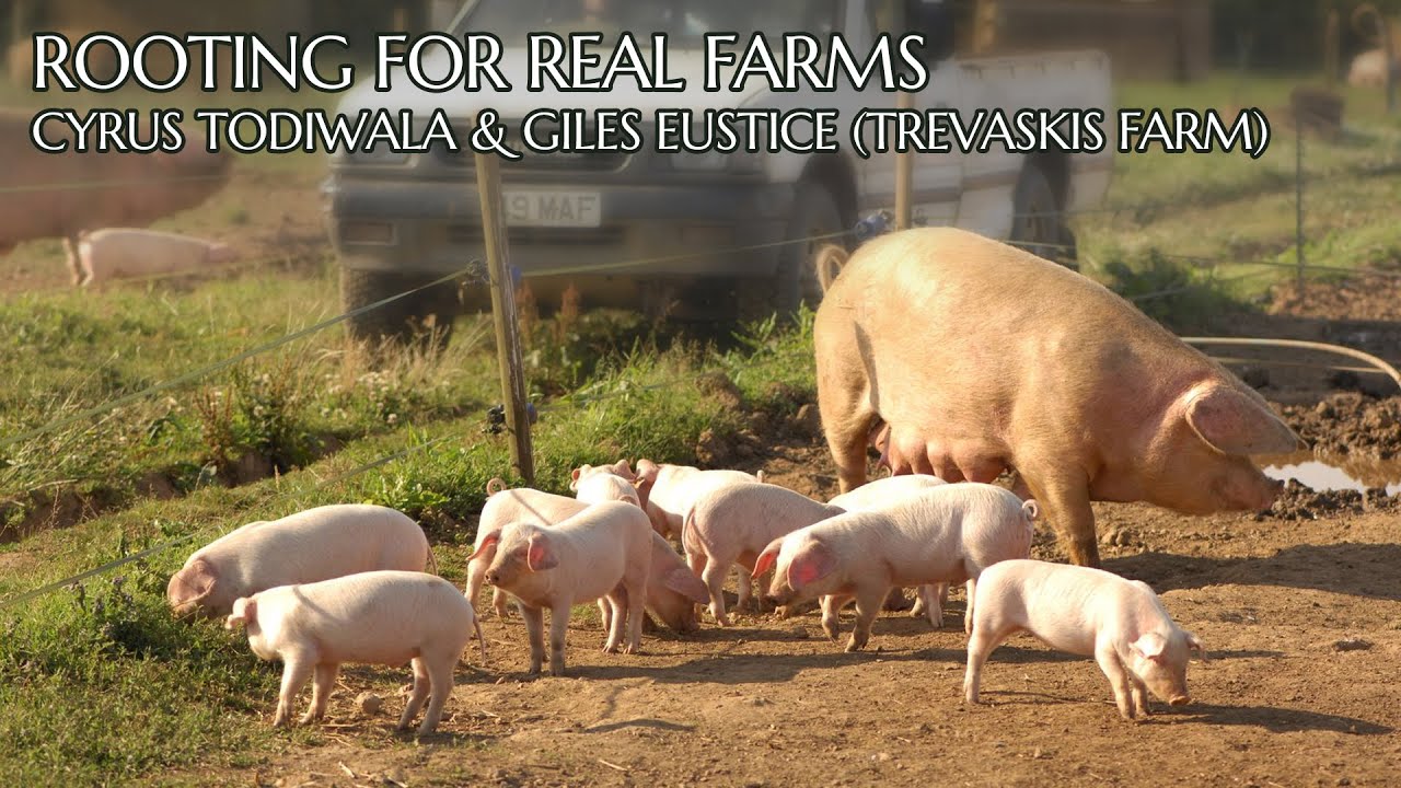 Rooting for Real Farms: Cyrus Todiwala & Giles Eustice (Trevaskis Farm)