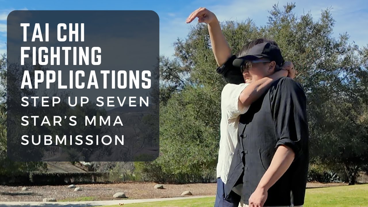 Tai Chi Fighting Applications: Step Up Seven Star's MMA Submission