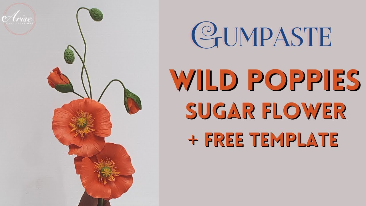 How To Make Wild Poppies & Buds | FREE TEMPLATE | GUMPASTE / SUGAR FLOWERS