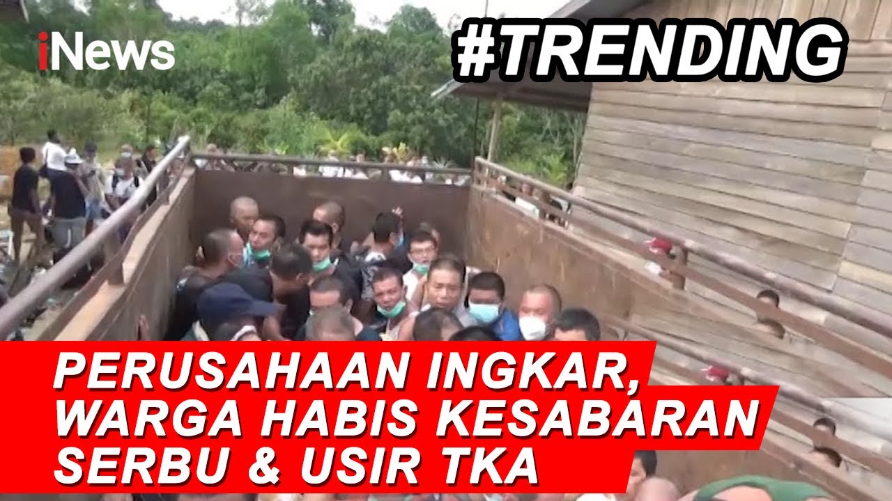 Ratusan Warga di Kalimantan Barat Usir Tenaga Kerja Asing - iNews Pagi 19/09