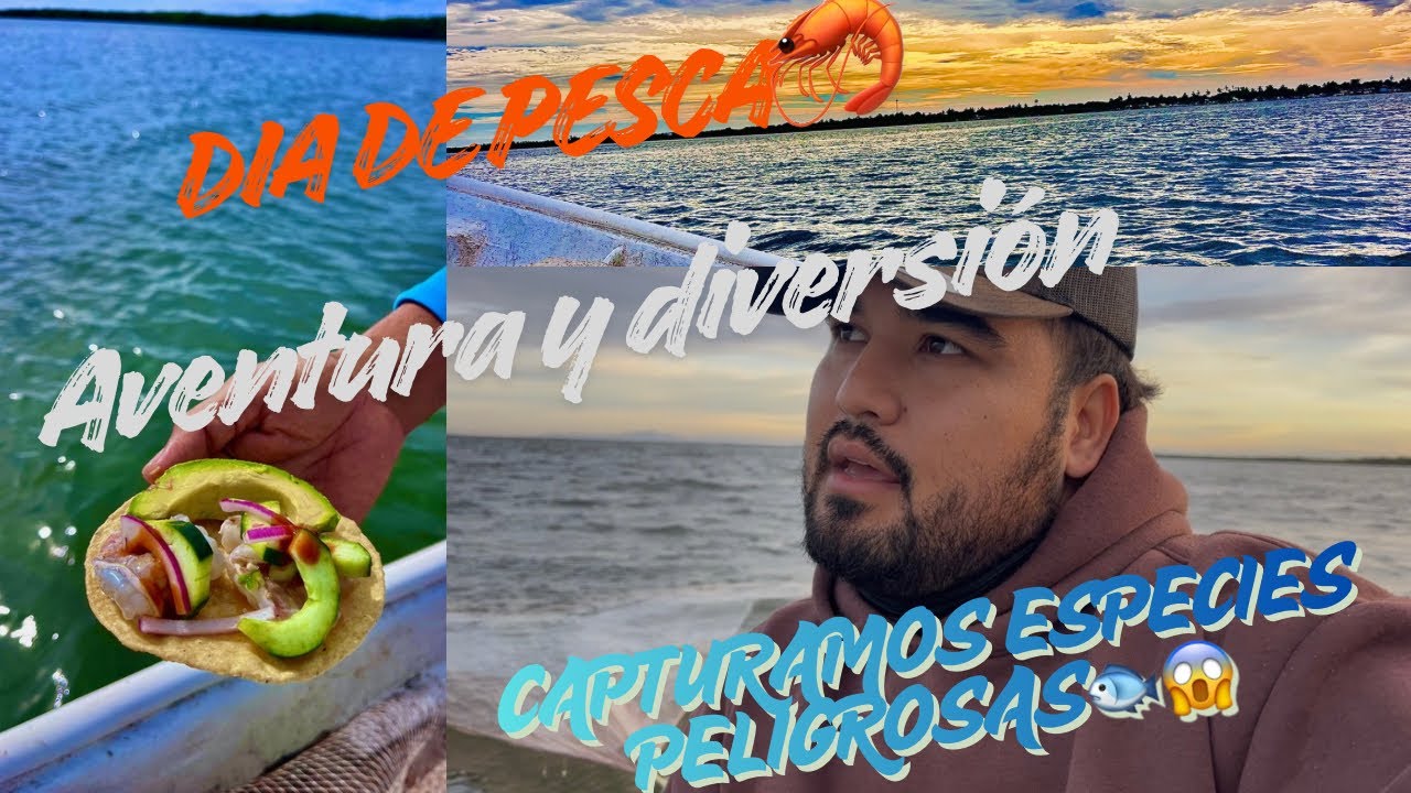 Un Día de Pesca Con un Pescador Nato🦐//Capturamos especies Peligrosas 😱🐡🐟