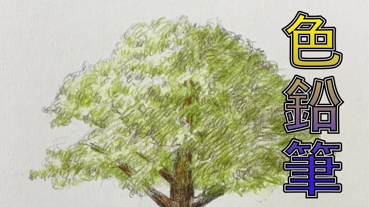 色鉛筆|木顏色素描大樹【屯門畫室】coloured pencil drawing tree