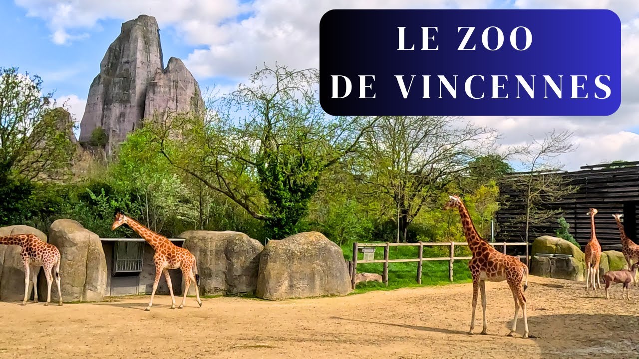 LE ZOO DE VINCENNES,  parc zoologique de Paris, un incontournable de la région parisienne