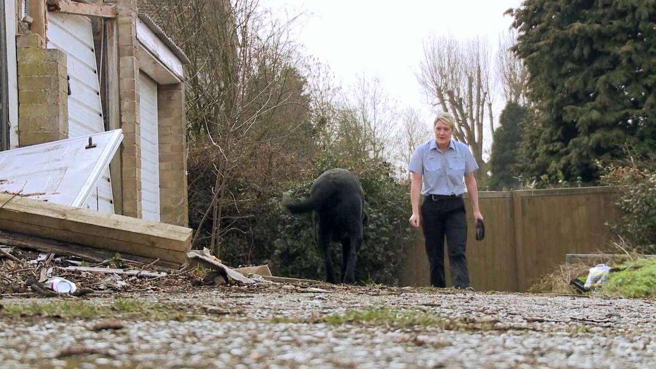 PETS FOR LIFE Episode 03 HD