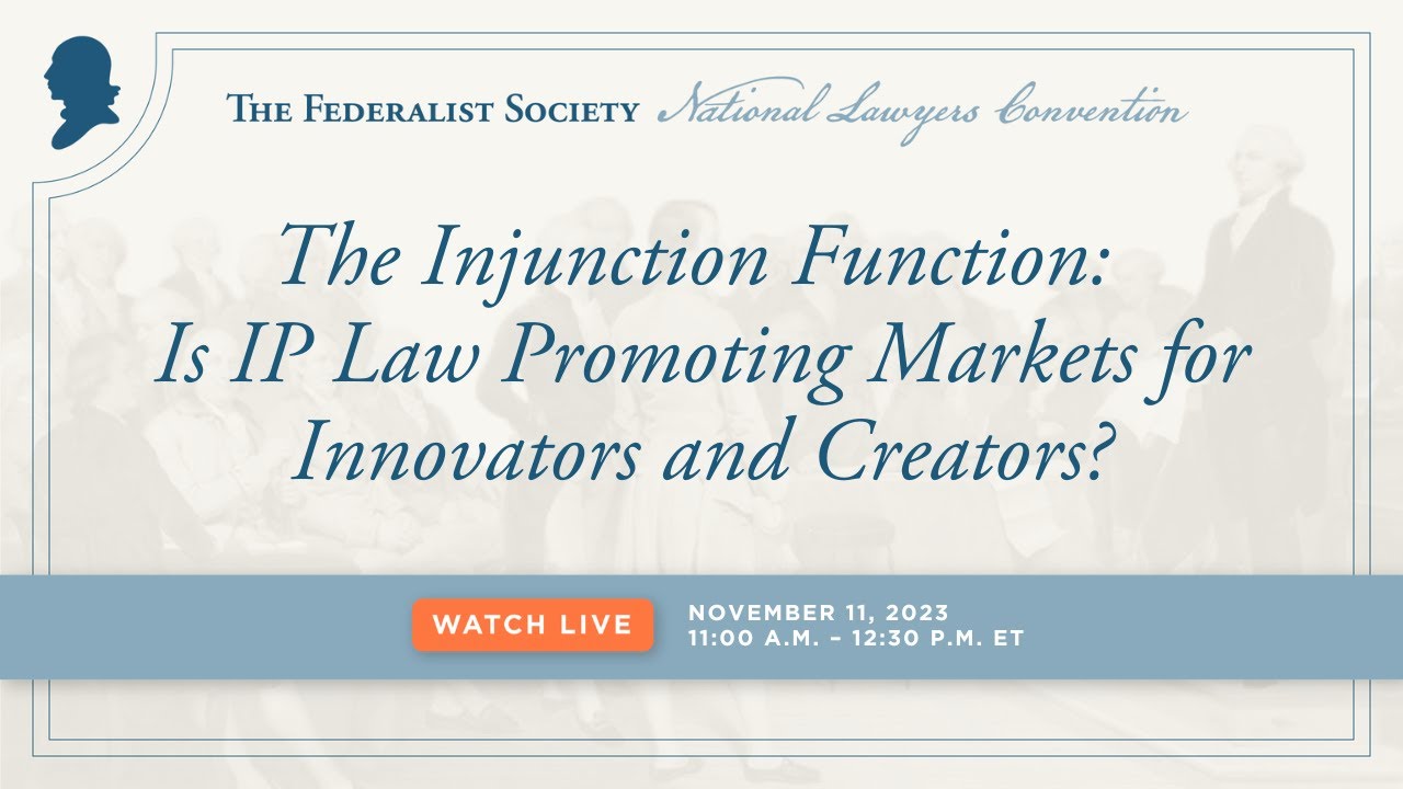 The Injunction Function: Is IP Law Promoting Markets for Innovators and Creators? [NLC 2023]