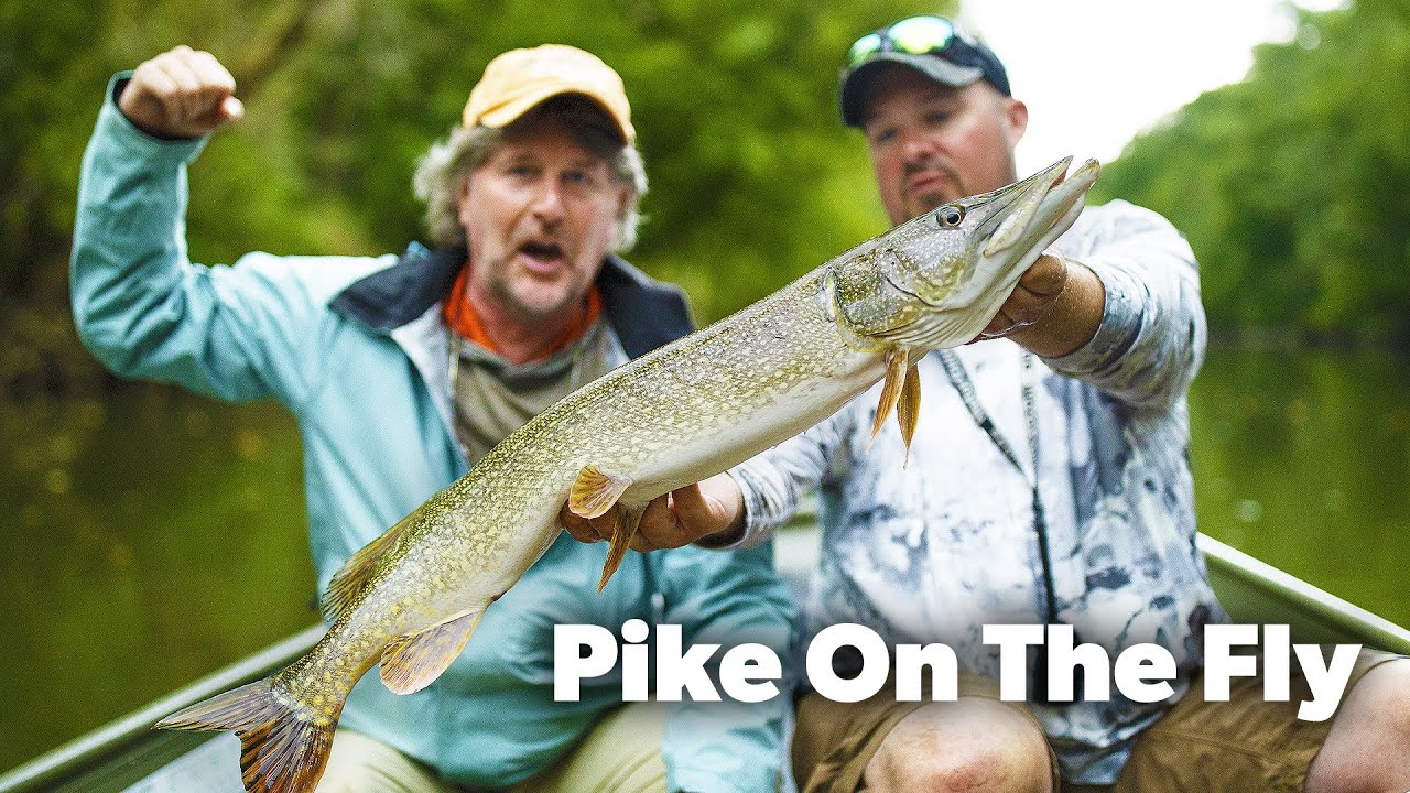 Pike On The Fly | Like Hot Buttered Lightning!