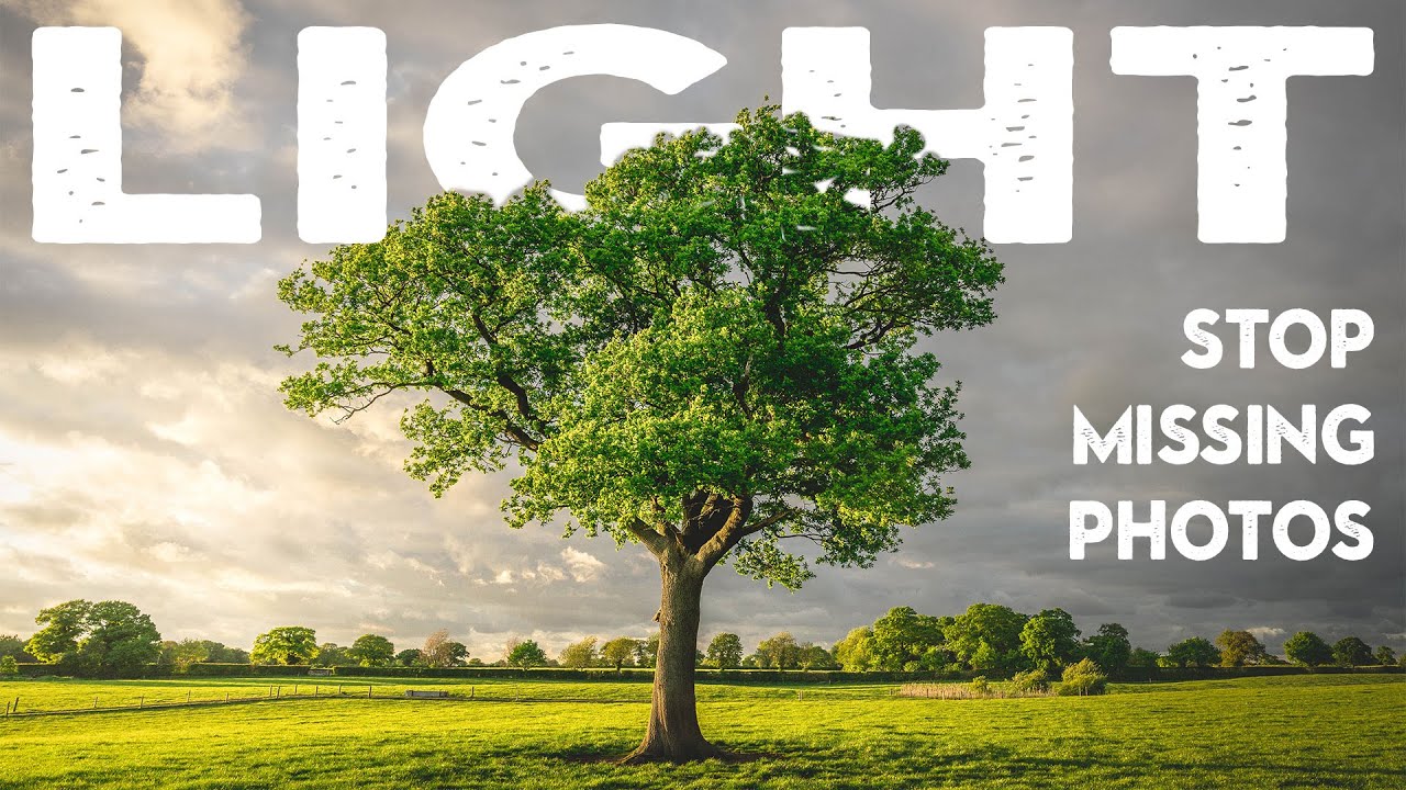 7 Simple tips for EPIC PHOTOS in ANY LIGHT