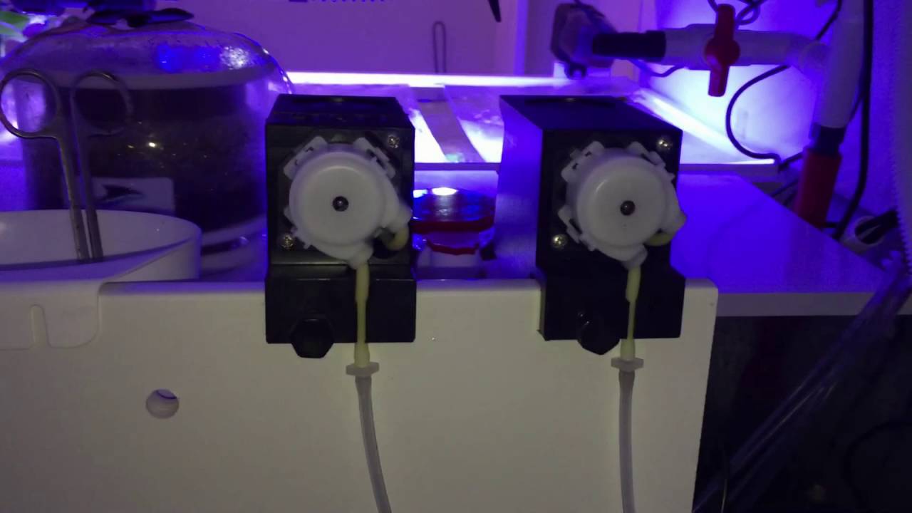 Auarium récifal équipé de matériel neo3plus