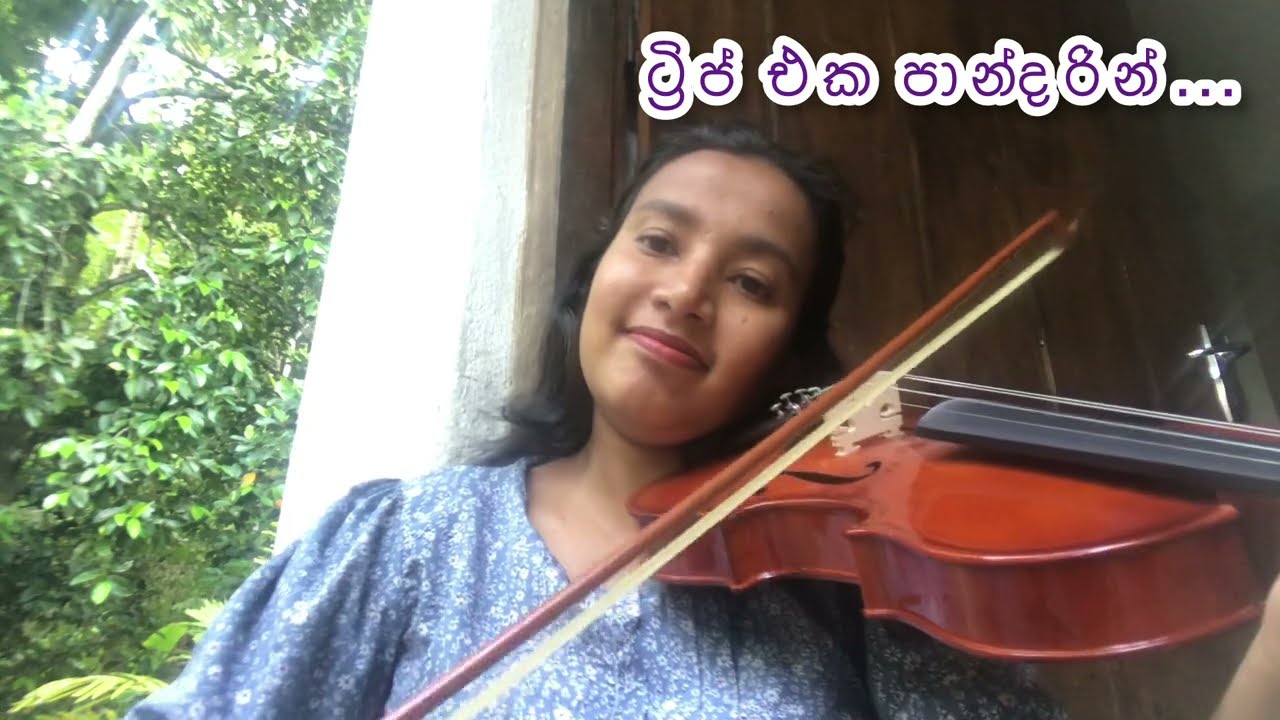 Trip eka pandarin | Violin Cover in ONE TAKE by Lakshika Bandara | Dinuli Damsandi