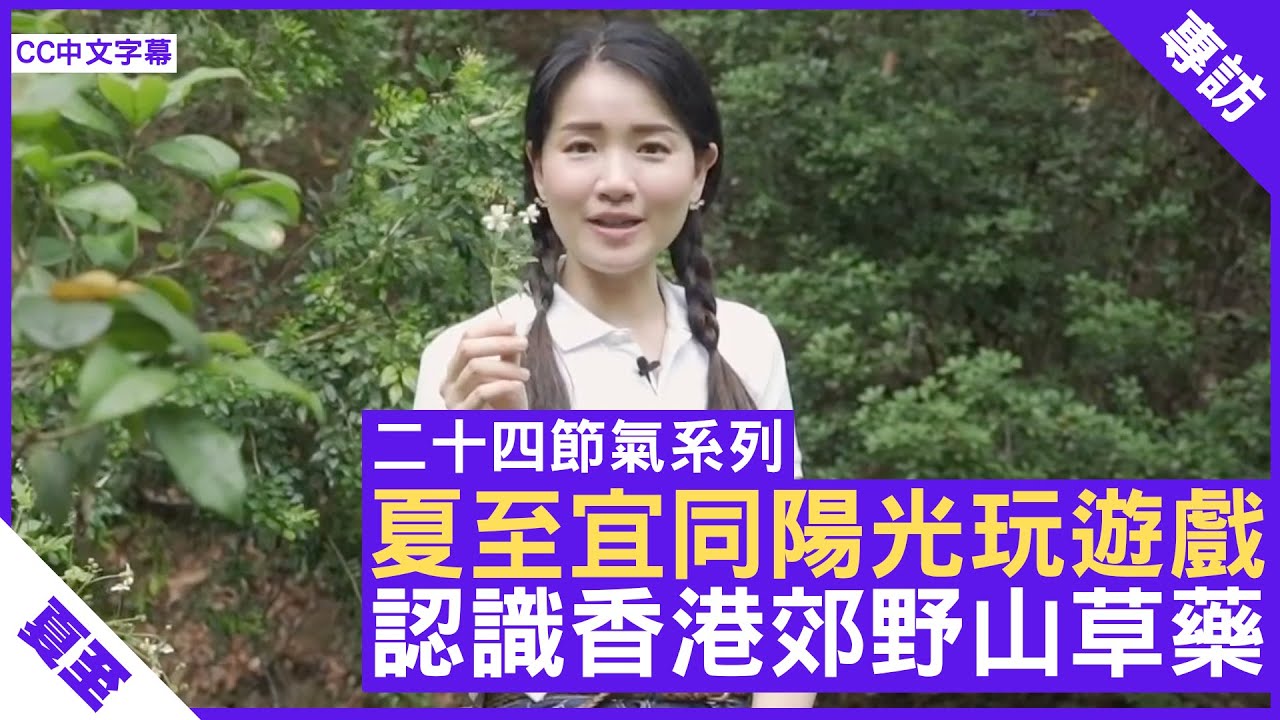 夏至宜同陽光玩遊戲 認識香港郊野山草藥 - 鄭丹瑞《健康旦》註冊中醫師 