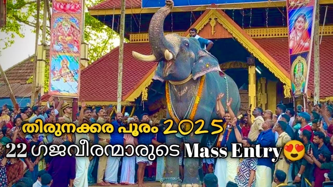 ആന പ്രേമികളുടെ മനം നിറച്ച് ഗജവീരന്മാരുടെ Mass Entry😍 | Thirunakkara pooram 2025