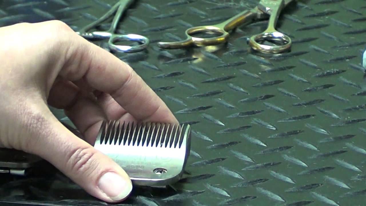 Pet Grooming Hand Tools for the Do-It-Yourself Dog Groomer
