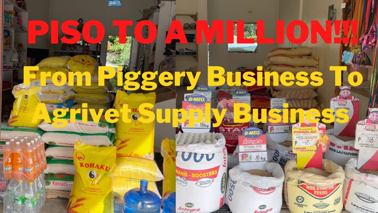 Palban's Farm Success Story (Part 2) - Piggery Business To Agrivet Supply Trading Business
