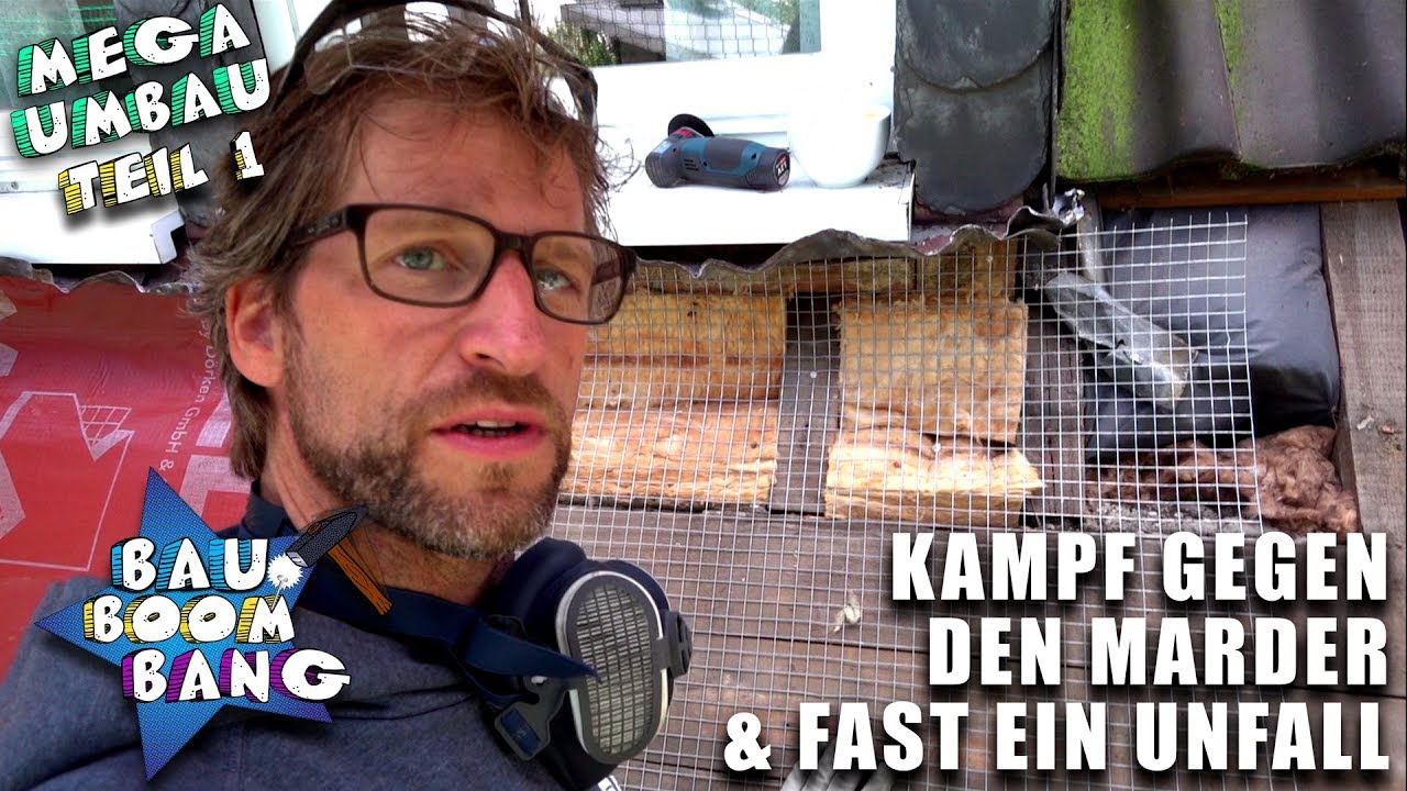 Marder bekämpfen! Braucht man dazu ein neues Dach?
