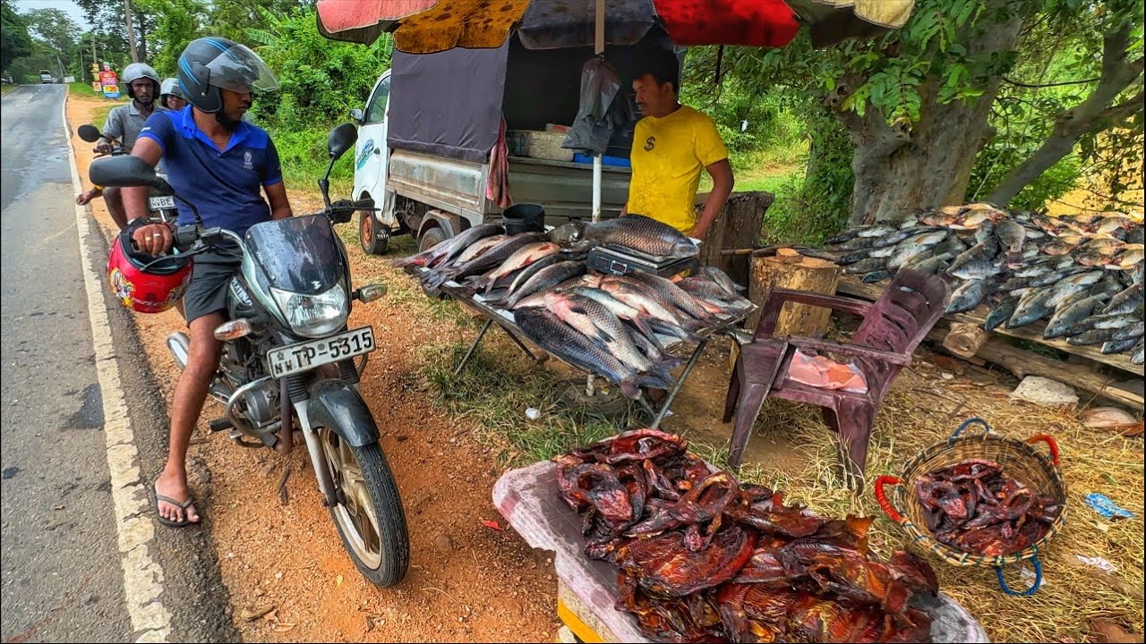 Unseen!! When the Gentle Rain Falls: A Journey Through Village Fish Harvest and Sale
