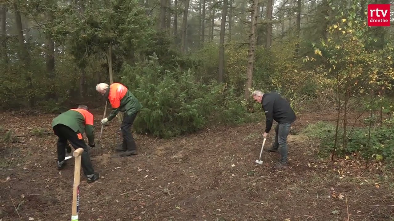 Vertroeteling doet jeneverbessen goed