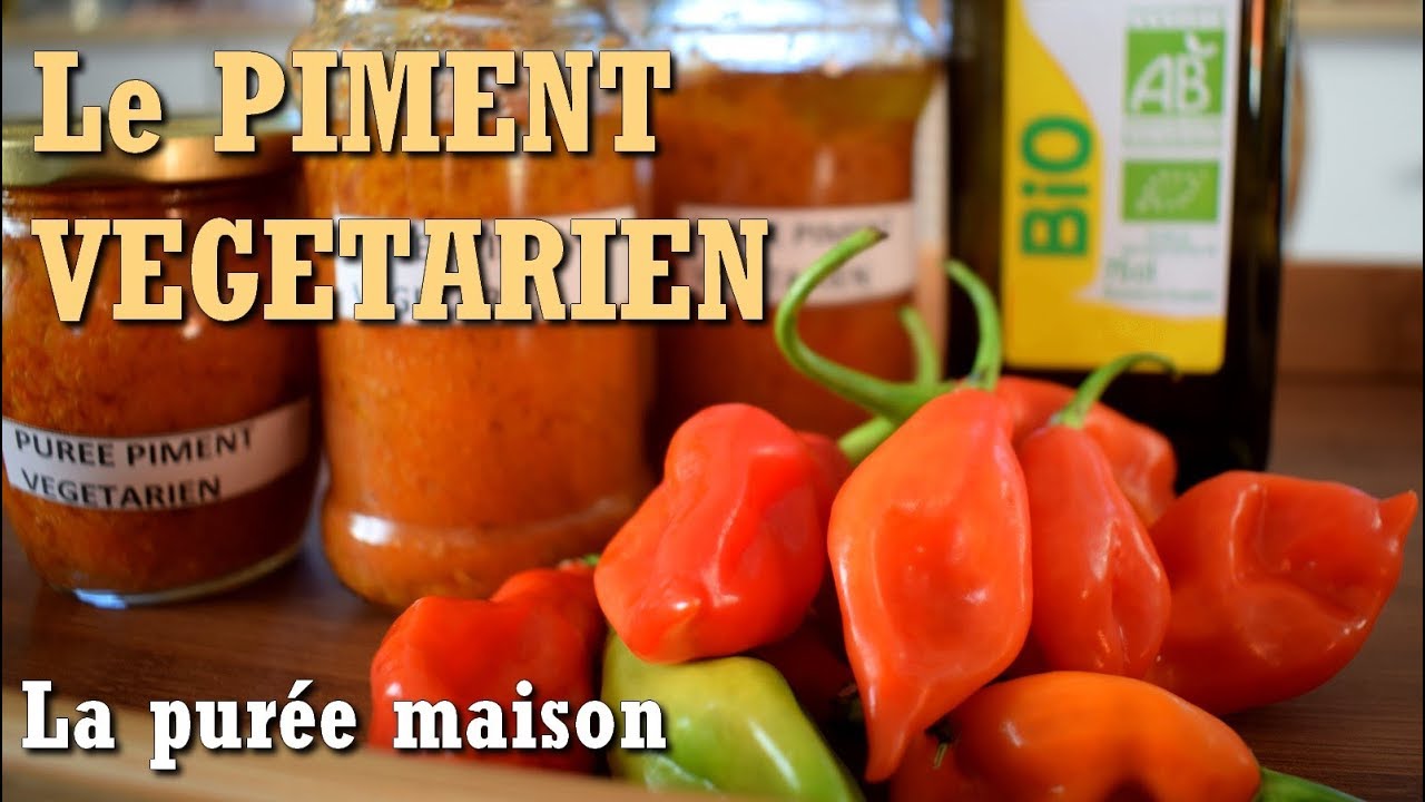 Piment végétarien | Recette purée de piment et conservation (Capscum Frutescens)