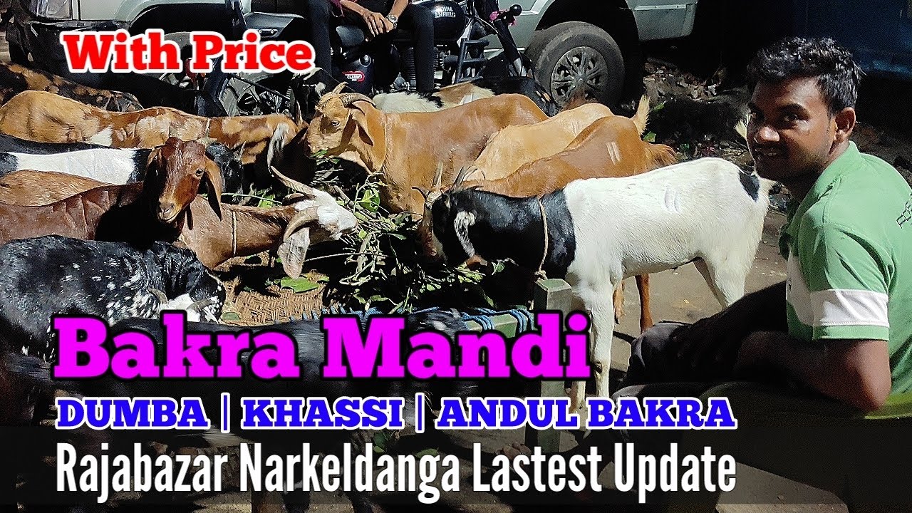 Rajabazar Narkeldanga Bakra Mandi Mein Bakre Aa Chuke Hain || Day 1 || #bakridspecial#goat#goatvlog