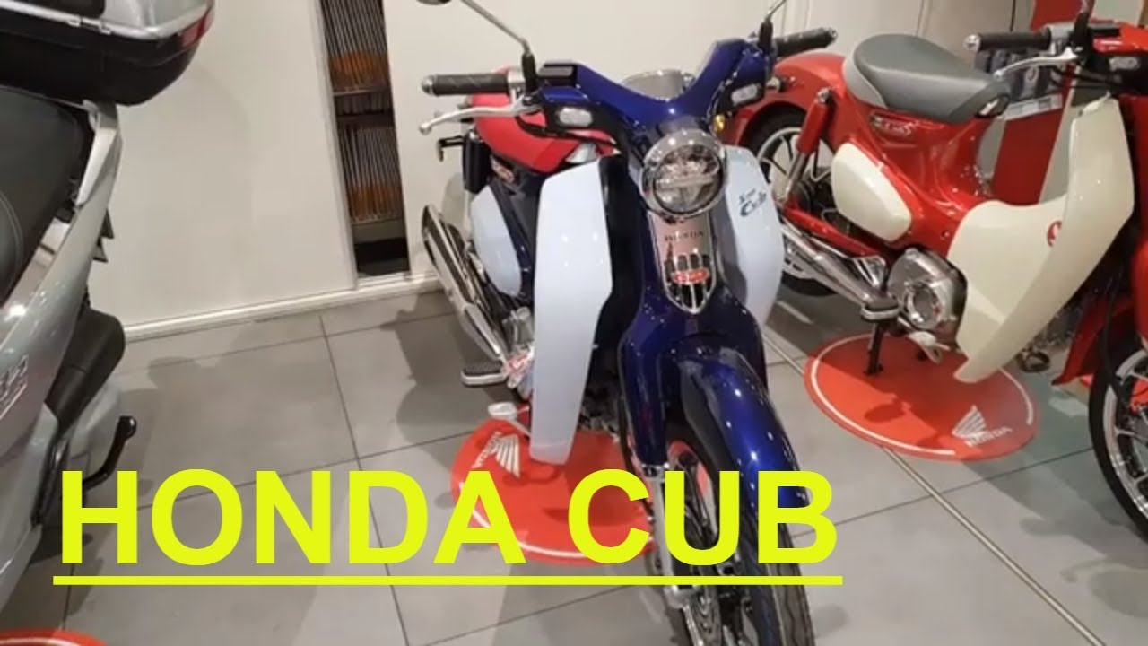 цены на новые скутера и б/у мотоциклы, новая Honda Cub 2019