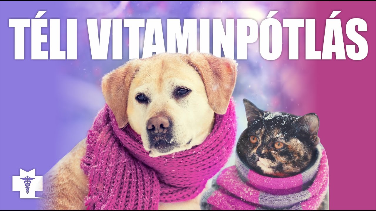 TÉLI és tél végi VITAMINPÓTLÁS kisállatainknak
